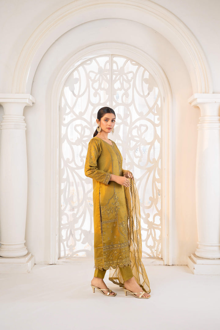 3 Piece Stitched Embroidered Silk Cotton
